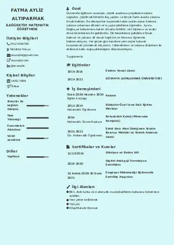 Matematik Öğretmeni Cv Örnekleri cv indir